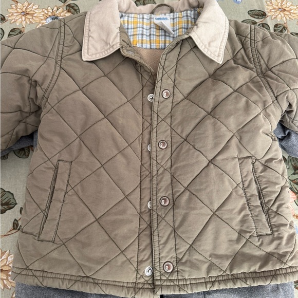 Gymboree Quilted Puffer Jacket in Olive and Beige - Picture 14 of 15
